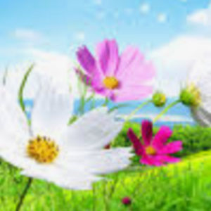 Meet your Posher, Mak223